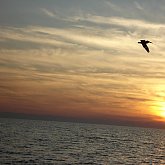 Sunset Treasure Island